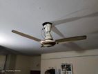 Celling Fan-36"