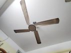 celling fan