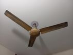 Celling Fan