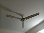 Celling Fan