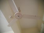 Celling Fan