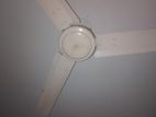 Celling Fan