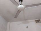 Celling Fan
