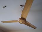 Celling Fan Sale
