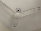 Celling Fan