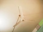 Celling Fan যমুনা।