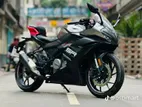 CFMoto 300SR , 2025