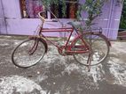 Biycle for sell