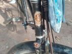 Chaina Phonix Bicycle for sell