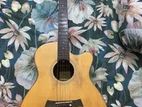 Chard Acoustic F4090c