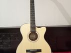 Chard Acoustic Guitar (F4040C)