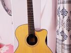 Chard Acoustic Guitar F4040C