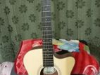 Chard Acoustic Guitar