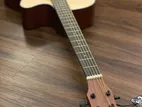 Chard F-4040C Pure Acoustic guitar