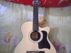 Chard F4090c Professional Guiter