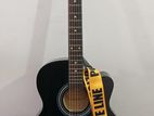 Chard Guiter