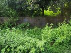 Cheap price : 5 Katha Plot for sale Sector 15
