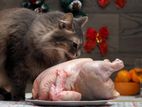 Chicken And Liver For Cats Dogs