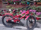 Children Bicycle 20-inch Full Metal