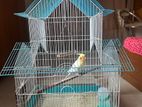 China Cages cell