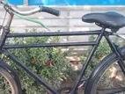 Phoenix Bicycle for sale