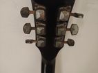 Chinese Guiter
