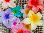 Chinese Hair Claw Clips