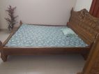 Chittagong Shegun Bed