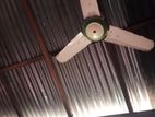 Fan for sell