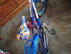 Bicycle for Sale