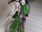 Duranta Bicycle for sale