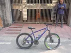 Phoenix Bicycle for sale