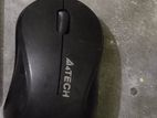 Mouse for sell