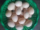 চীনা হাসের বিজ ডিম