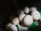 চীনা হাসের ডিম