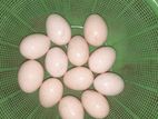 চিনা হাসের বীজ ডিম এবং গিন্নি মুরগি ডিম।