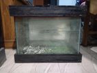 Clear Glass Aquarium 60cm×30cm