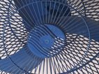 Click 16" Juri Fan