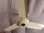 Click Fan