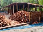 COIR FIBER/ Cocopeat (নারিকেল ছোবড়া/ কোকোপিট)