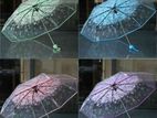 colourful transfer umbrella