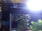 Combo fish aquarium with everything