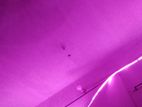 setup light plus room decoration linghting with remort