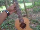 Concert size Ukuele giter for sell