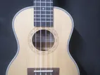 Cordoba brand ukulele 24 inch