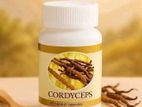 Cordyceps