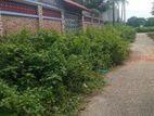 Corner 5 katha plot urgent sale in sector :28,RAJUK Purbachal.