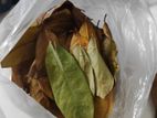 Corsol Leaves Sell/করসলের পাতা বিক্রি করবো