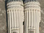 Cricket Accessories