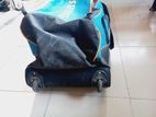 Cricket Bag Dsc